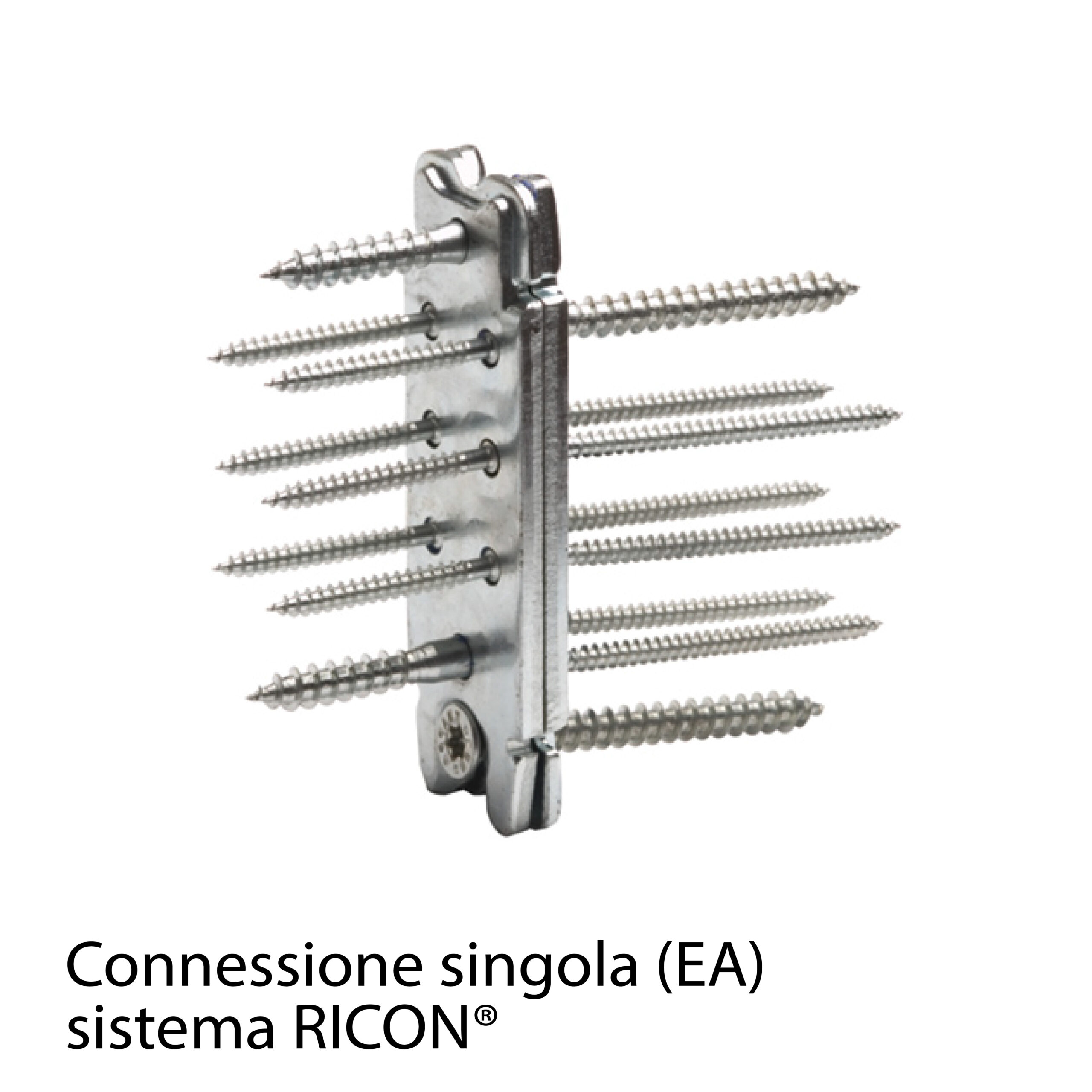 RICON Connessione singola